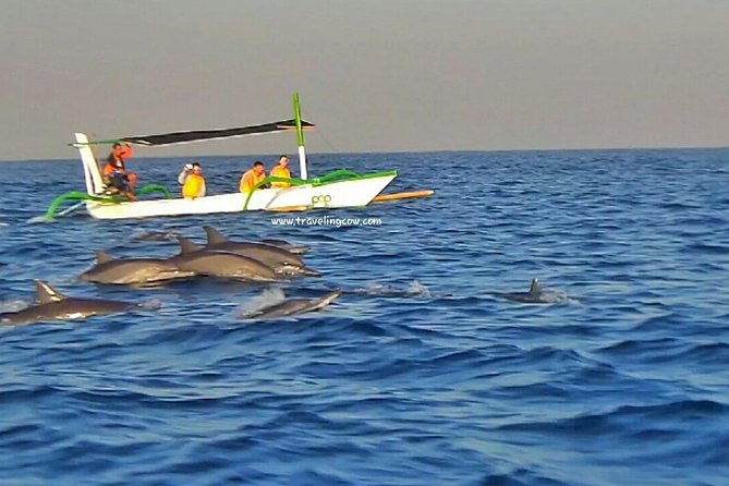 Amazing Private Tours: Dolphins Lovina and Gitgit Waterfall include Lunch - Ulun Danu Beratan Temple adds Bali’s postcard moment