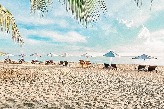 Amed Bali Snorkelling: Japanese Shipwreck & Vienna Beach Tour - What $44 includes, and what it does not