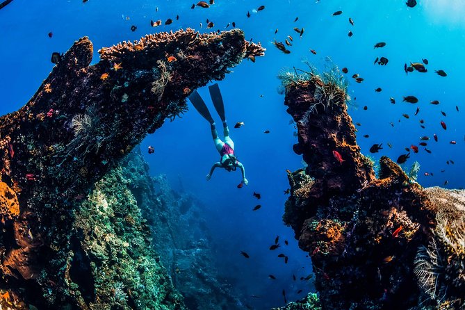 Amed Bali Snorkelling: Japanese Shipwreck & Vienna Beach Tour - Who should book this snorkelling tour?