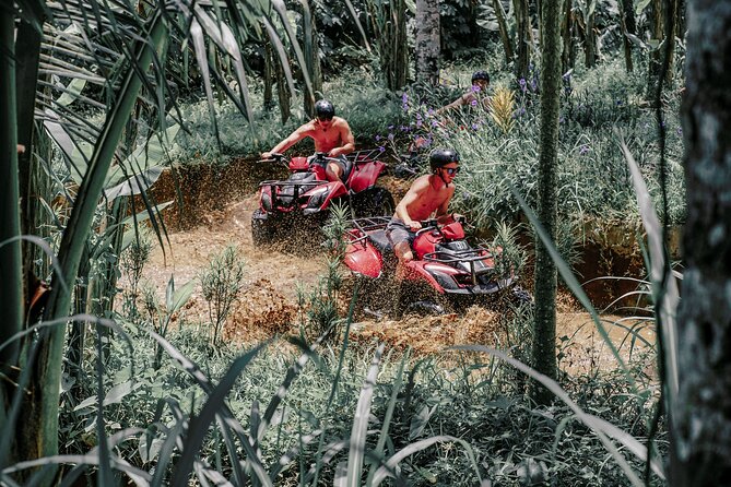 ATV Quad Bike Bali with Waterfall Gorilla Cave and Lunch - Pickup from Bali and timing
