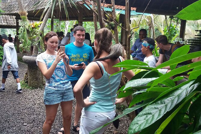 ATV Quad Bike with Kintamani Volcano Tour - All Inclusive - Tegalalang Rice Terrace after the mountain stop