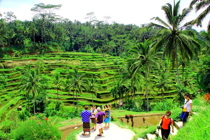 ATV Quad Bike with Kintamani Volcano Tour - All Inclusive - Kintamani and the Mount Batur viewpoint