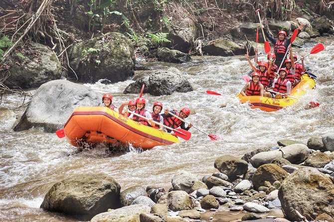 Atv Ride and White Water Rafting Adventures - The two-hour ATV route through Bali’s countryside
