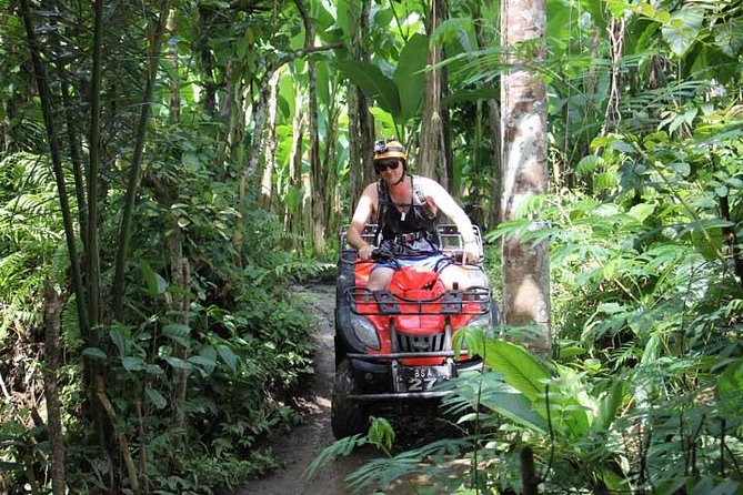 ATV Tour with Monkey Forest Experience in Bali - Lunch, showers, and a useful reset