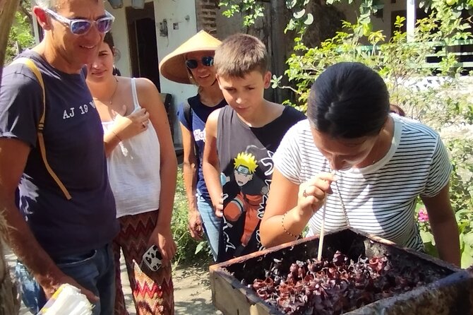 Authentic Yogya Bicycle Tour - Stingless bees and a taste of pure honey