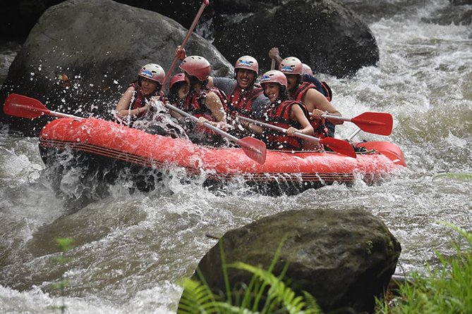 Ayung Rafting Ubud (Include Lunch & Return Transportation) - Key points to know before booking