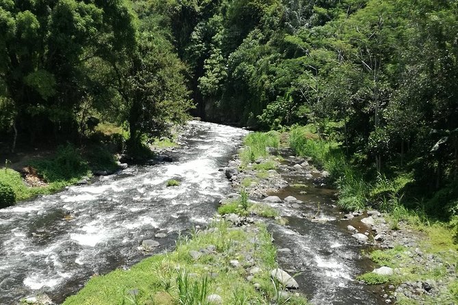 Ayung Rafting Ubud (Include Lunch & Return Transportation) - Is $75 a fair price?