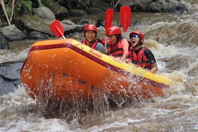 Ayung River Half-Day White Water Rafting Bali in Ubud - Why the Ayung River makes a good Ubud adventure