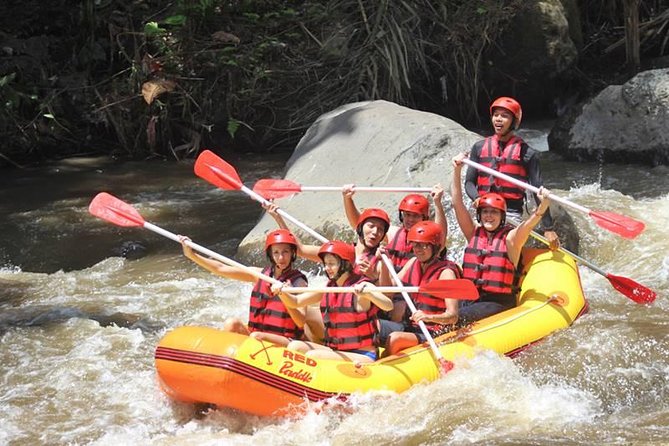 Ayung River Half-Day White Water Rafting Bali in Ubud - Lunch and the return to Ubud