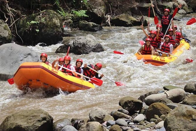 Ayung River Half-Day White Water Rafting Bali in Ubud - Service details that can shape the day