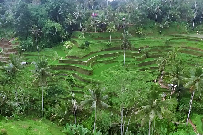 Ayung River Rafting and Ubud Waterfall Tour - Tegenungan Waterfall for the Final Scenic Stop