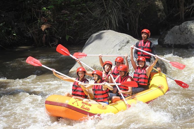 Ayung River - White Water Rafting Bali - What the Ayung River trip is really like