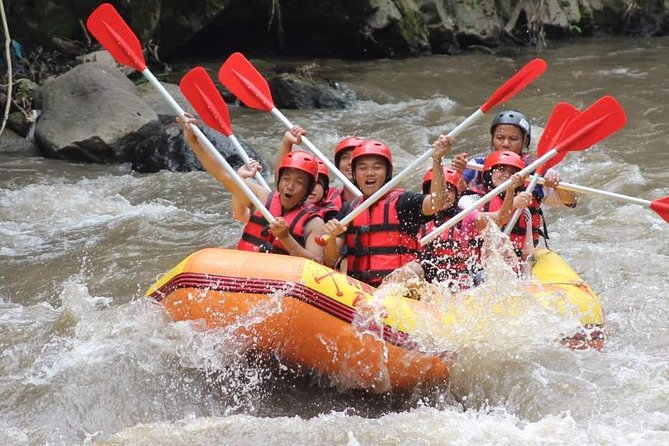 Ayung River - White Water Rafting Bali - Two hours of rapids, waterfalls, and carved cliffs