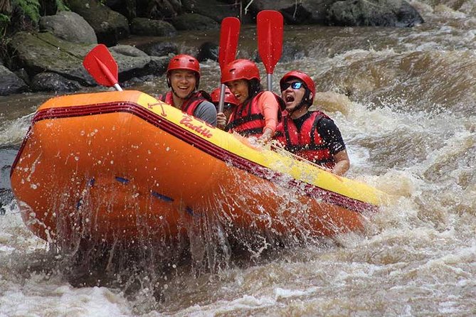 Ayung River - White Water Rafting Bali - Registration, equipment, and river briefing