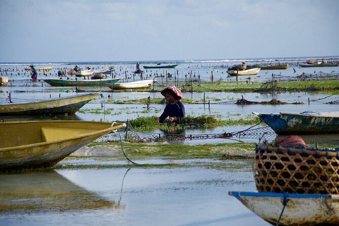 Bali 2 Days and 1 Nights of Nusa Penida and Lembongan Tour - How the Private Setup Changes the Trip