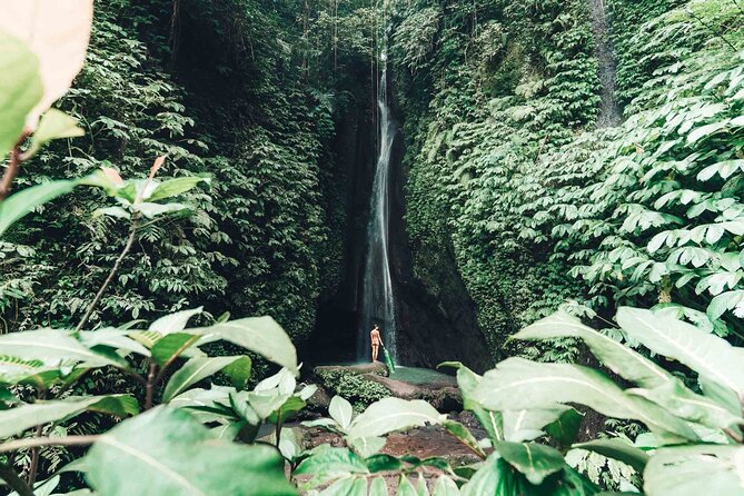 Bali 3 Days Private Tour-Bali Highlight - Guides, private transport, and the pace