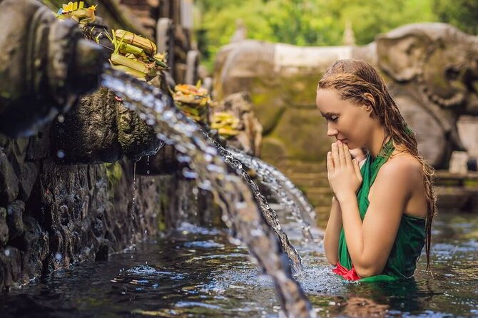 Bali 3 Days Private Tour-Bali Highlight - Day one: Ubud temples, a waterfall, and famous rice terraces