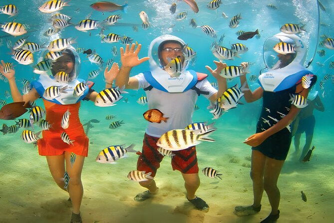 Bali Activity: Bali Sea Walking in Nusa Dua Ocean - Why the included facilities matter