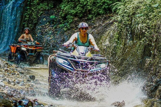 Bali Adventure ATV Quad Bike, Monkey Forest and Waterfalls - A quieter hour at Sacred Ubud Monkey Forest