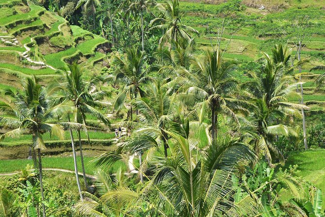 Bali Airport Arrival Transfer and Private Car Charter Combo - The airport transfer and charter pairing
