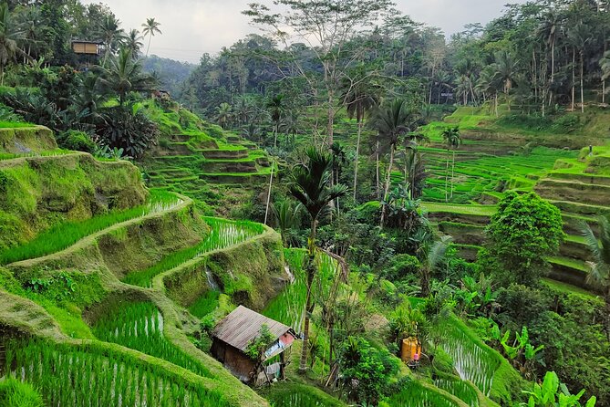 Bali Airport Pickup Transfer to Ubud Area (Private) - Harry and Putu Bring a Personal Touch