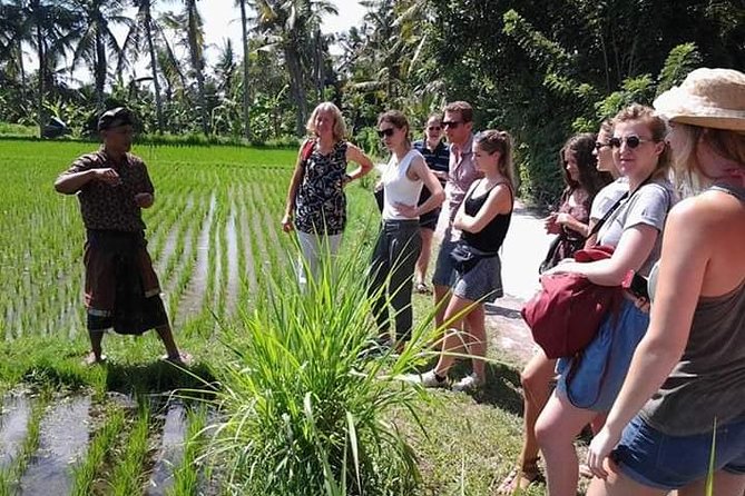 Bali Amazing Cooking Class - The meal is part of the lesson