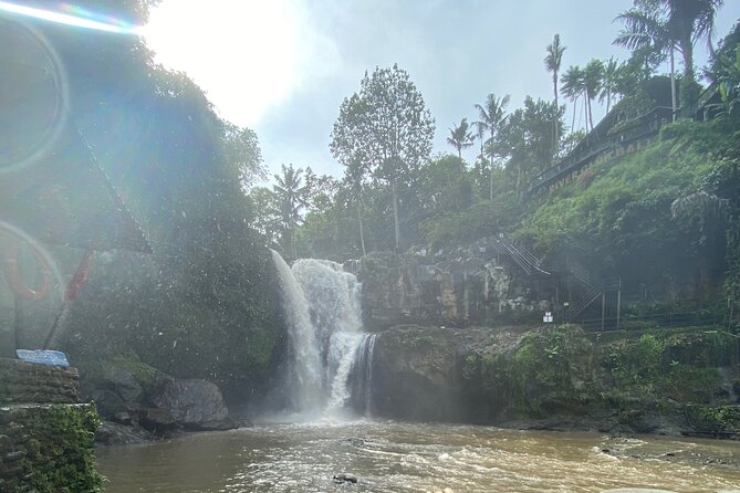 Bali Arts shopping with temples-waterfall visit. - What $40 includes, and what it does not
