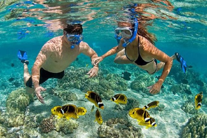Bali ATV Blue Lagoon Snorkeling Private Guided Tour Free WiFi - Tegenungan Waterfall gives the day a green pause