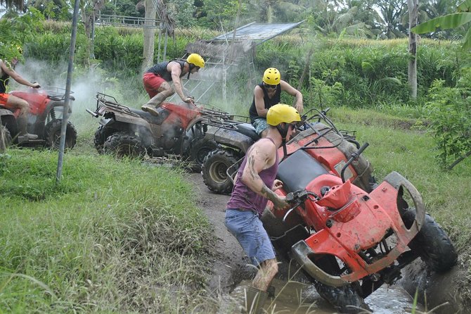 Bali ATV Combined with Mumbul Lake And Sangeh Monkey Forest - Why this Bali combination works