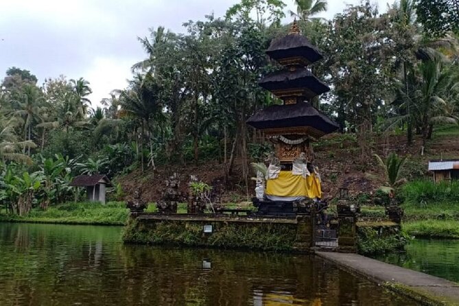Bali ATV Combined with Mumbul Lake And Sangeh Monkey Forest - Who should book this outing