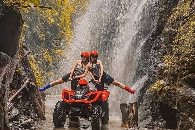 Bali ATV Quad Adventure - Ubud Monkey Forest and Waterfall - Meeting the monkeys at Sacred Monkey Forest
