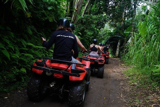 Bali ATV Quad Bike Adventure with Gorilla Cave Pass By Waterfall - Is $55.37 good value?