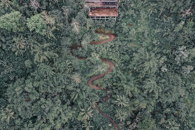 Bali ATV Quad Bike Adventure with Gorilla Cave Pass By Waterfall - Gorilla Cave and the photo stop