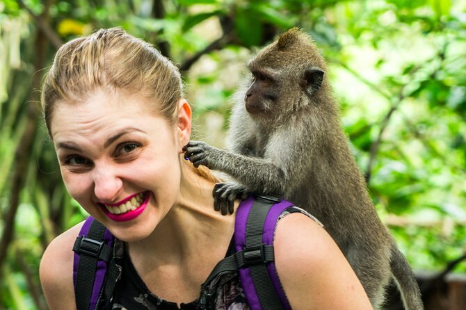 Bali ATV Quad Bike Adventures - Safety, insurance, and sensible expectations