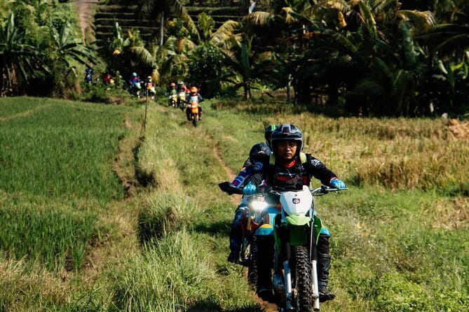 Bali ATV Quad Bike Ubud Swing & Monkey Forest All Inclusive - What the $95 price covers