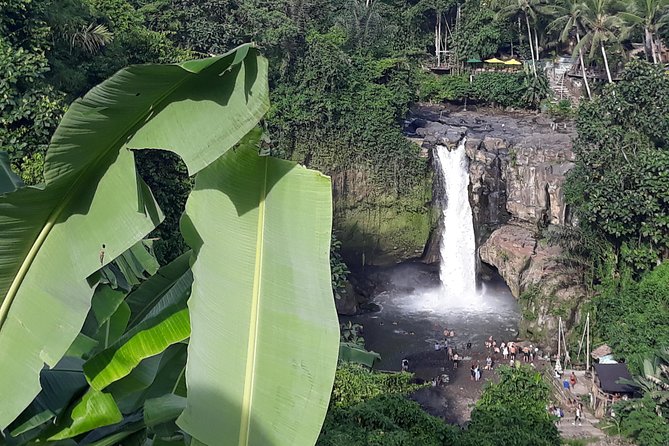 Bali ATV Rafting And Ubud Waterfall Private Tour - Plantation coffee and included meals keep the schedule practical