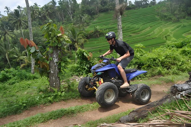 Bali ATV Ride Adventure Tours - Best Ubud Activity - Why the private format matters