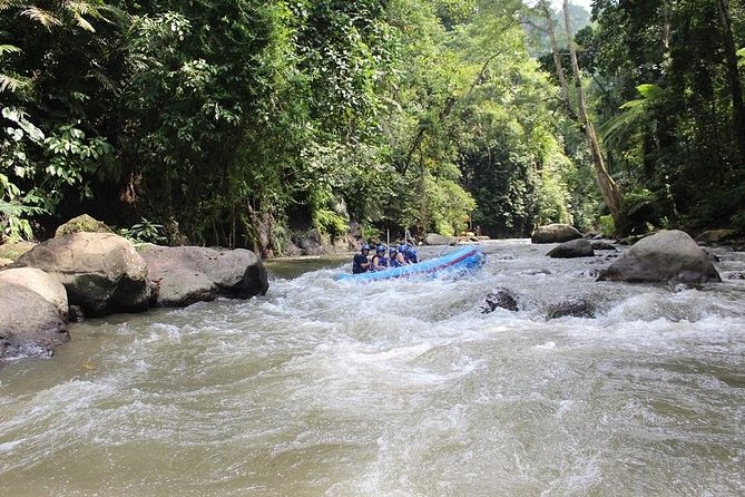 Bali ATV Ride Adventure & White Water Rafting with All-Inclusive - Ayung River rafting for first-timers