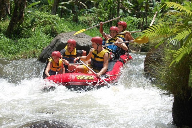 Bali: Ayung River White Water Rafting Adventure - Two Hours on Bali’s Ayung River