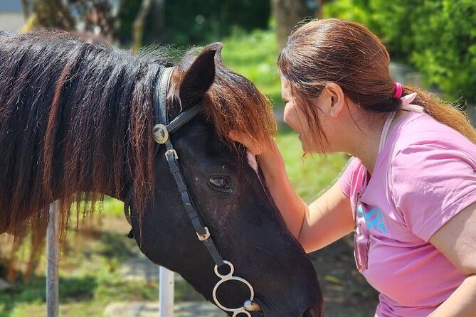 Bali Beach Horse Riding combo with waterfall All Inclusive - Useful Questions to Ask Before Departure