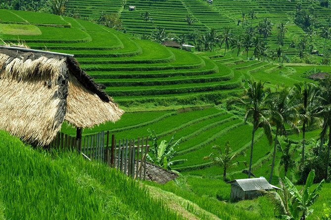 Bali: Bedugul Lake Temple, Banyumala Waterfall, UNESCO Rice Field - Pickup from Seminyak, Ubud, and other Bali bases
