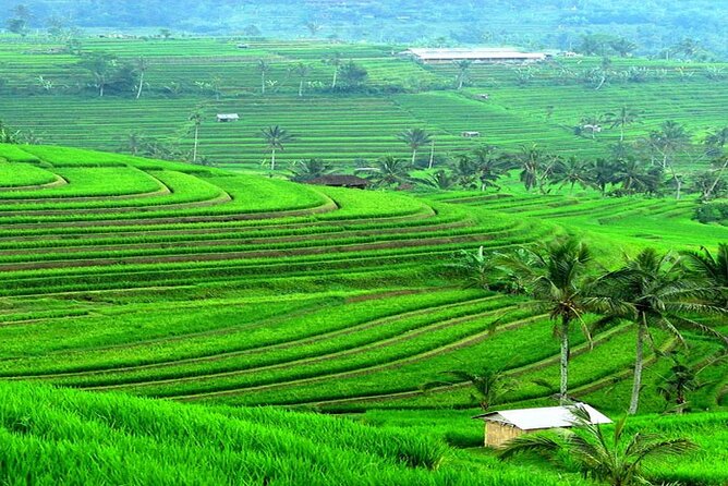 Bali: Bedugul Lake Temple, Banyumala Waterfall, UNESCO Rice Field - Who should book this private Bali day trip