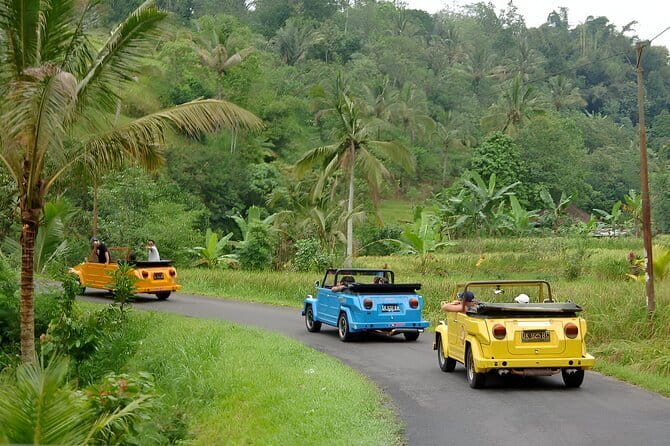 Bali: Bedugul Temple, Banyumala Waterfall, UNESCO Rice Terrace - Jatiluwih and the wide rice terraces