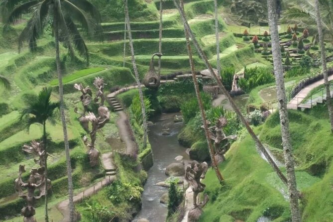 Bali Benoa Shore Excursion for cruise's passenger - All Inclusive - Coffee, tropical plants, and a possible swing