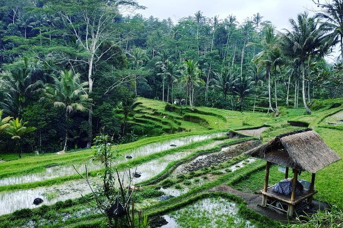 Bali: Best Eastern Waterfalls with Private Bali Tours - Timing, tickets, and cancellation