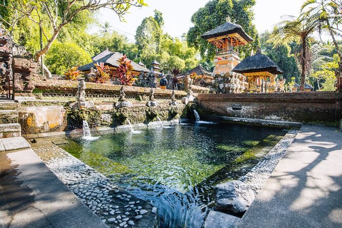 Bali Best Of Ubud Tour Private and All Inclusive - 5:00 PM departure and return near 6:30 PM