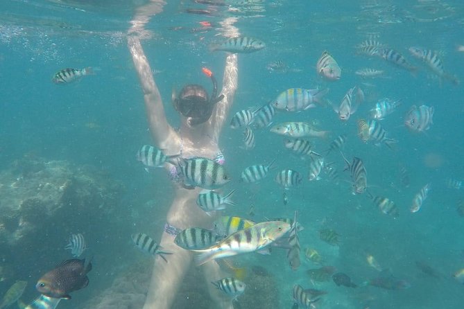 Bali Best Snorkeling at Blue Lagoon - The Kuta and Padangbai logistics need a close look