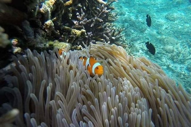 Bali Best Snorkeling at Blue Lagoon - What happens at Blue Lagoon Beach