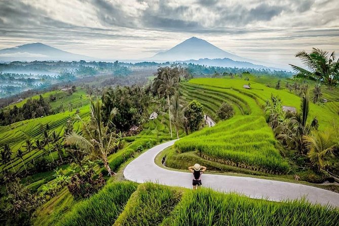 Bali BEST Things to Do Private Full-day Tour from Your Hotel - Tirta Gangga Water Garden and the Candidasa coast