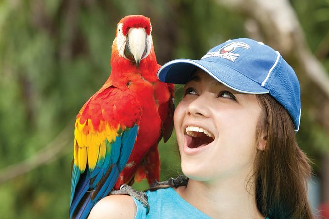 Bali Bird Park Admission Ticket - Walking into Bali Bird Park